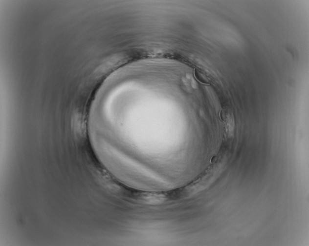 X0000113040719200909101918