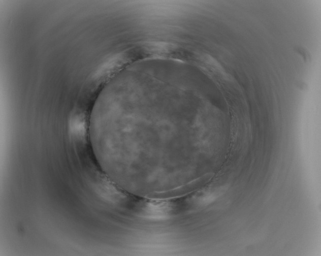 X0000113040720200909101918