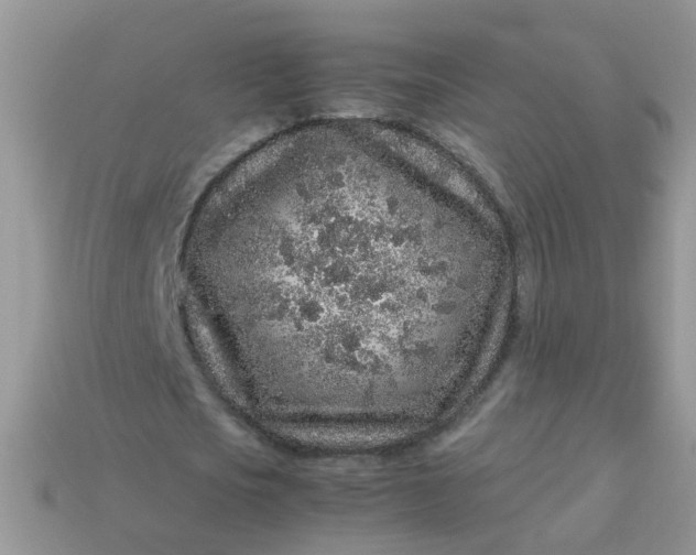 X0000113040721200909101917