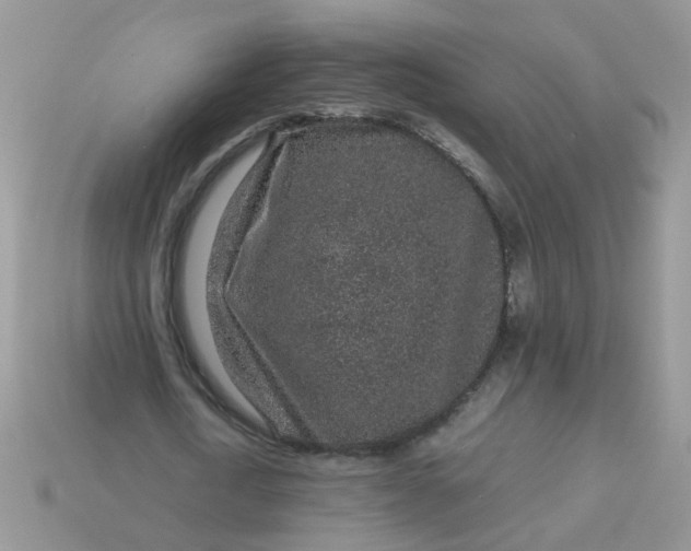 X0000113040722200909101917
