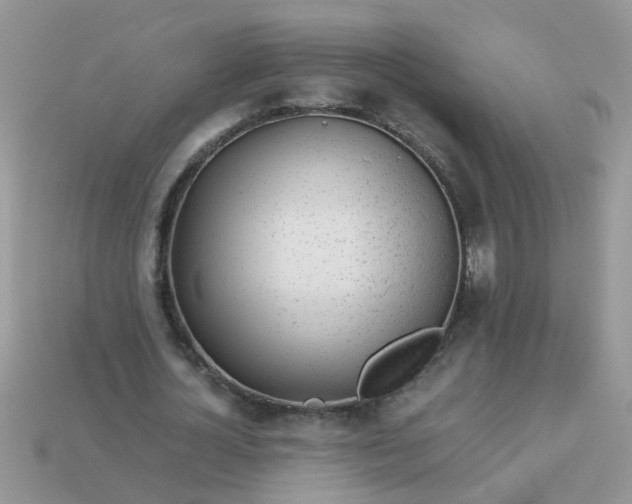 X0000113040724200909101917