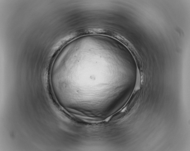 X0000113040725200909101917