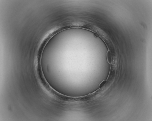 X0000113040726200909101917