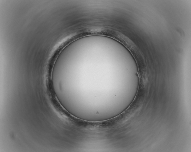 X0000113040728200909101917