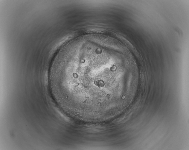 X0000113040729200909101917