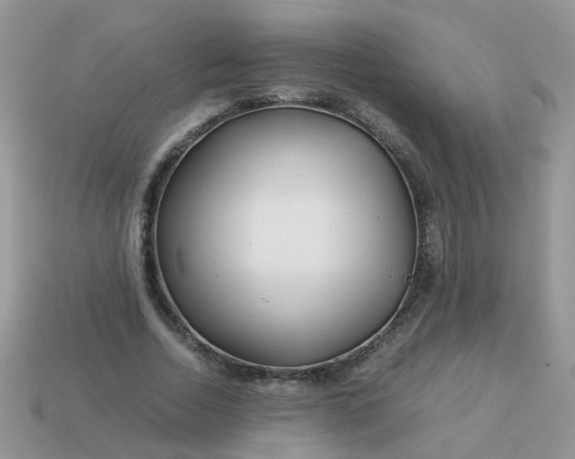 X0000113040730200909101917