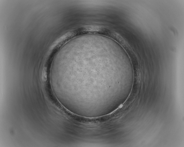 X0000113040731200909101917