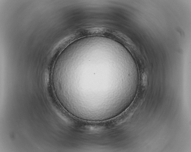 X0000113040733200909101917