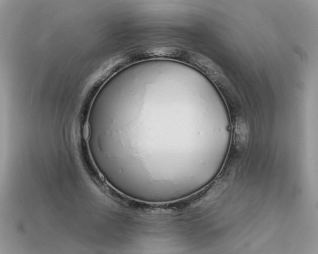 X0000113040734200909101917