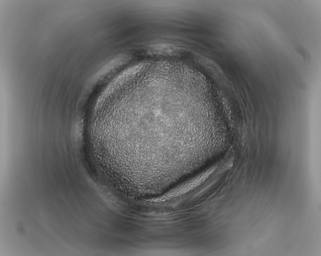 X0000113040735200909101917