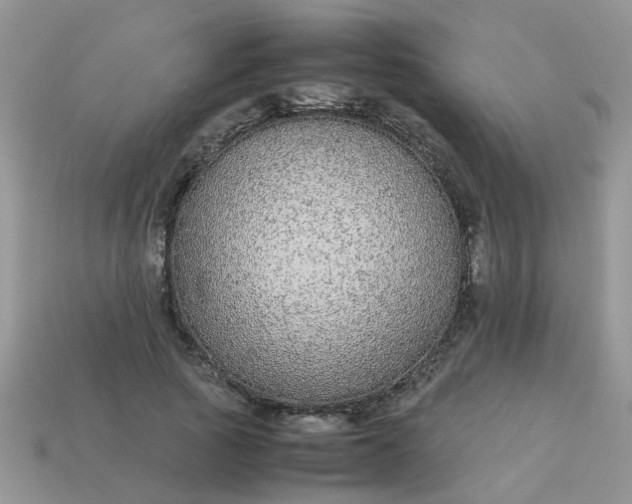 X0000113040737200909101917