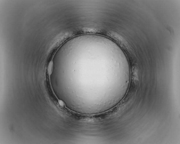 X0000113040738200909101917