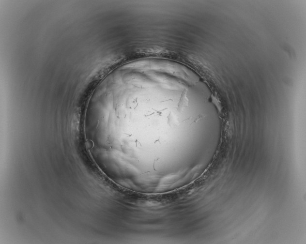 X0000113040739200909101917