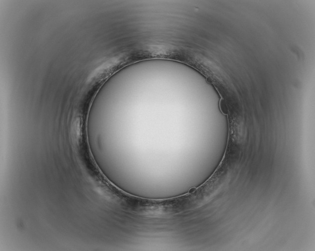 X0000113040740200909101917