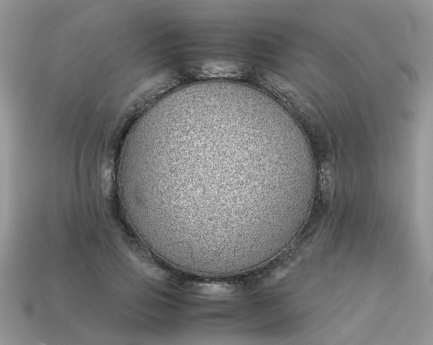 X0000113040741200909101918