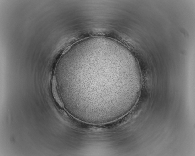 X0000113040742200909101918