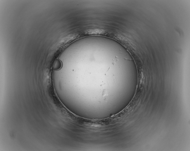 X0000113040743200909101918