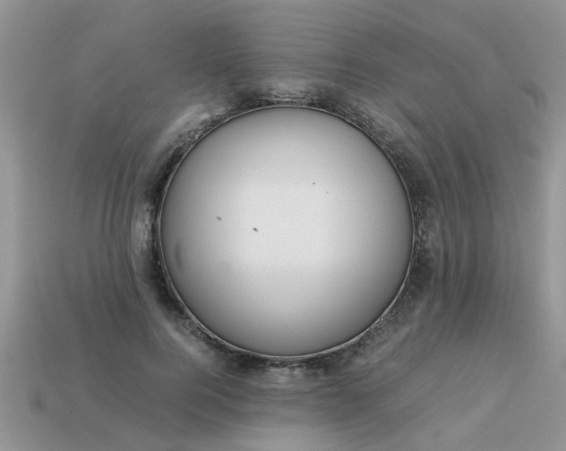 X0000113040744200909101918