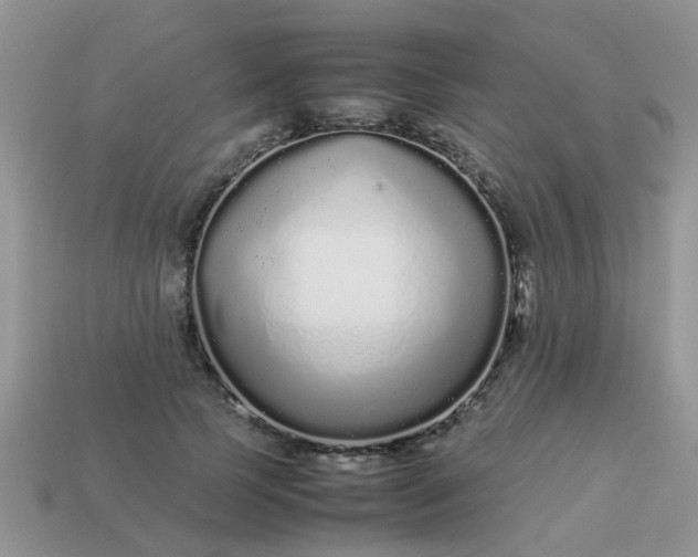 X0000113040745200909101918