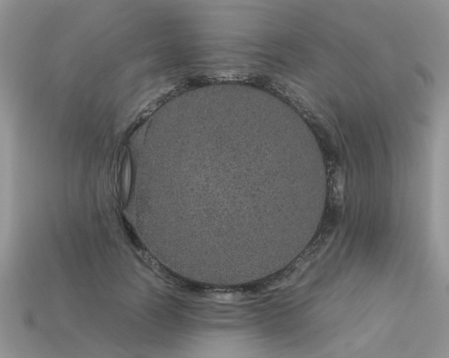 X0000113040746200909101918