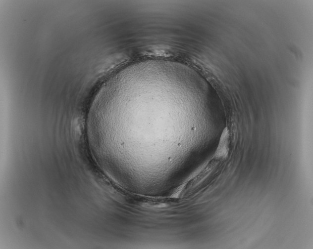 X0000113040747200909101918