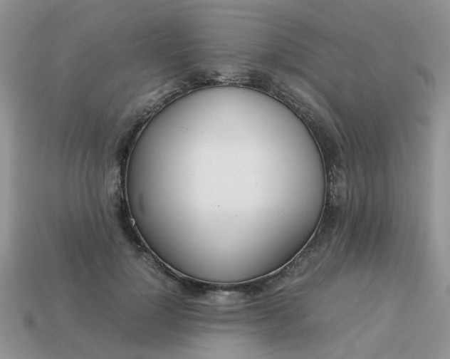 X0000113040748200909101918