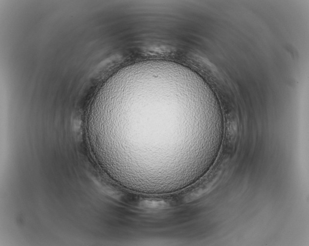 X0000113040749200909101918