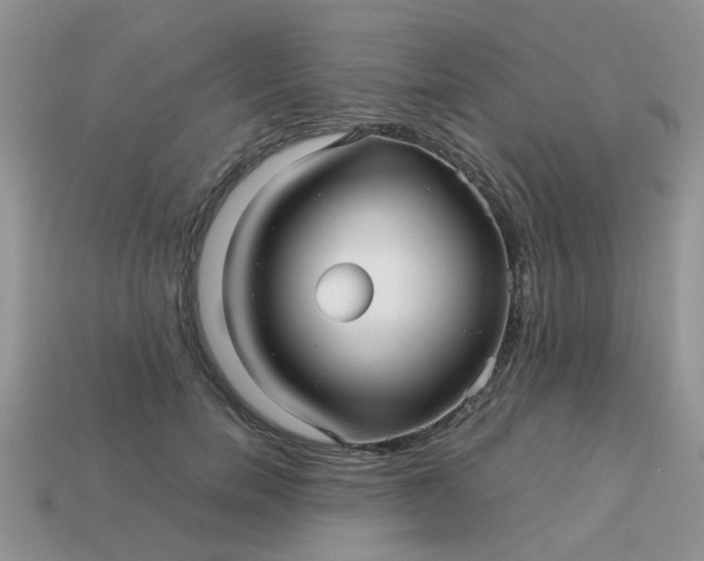 X0000113040750200909101918