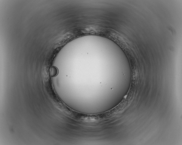 X0000113040751200909101918