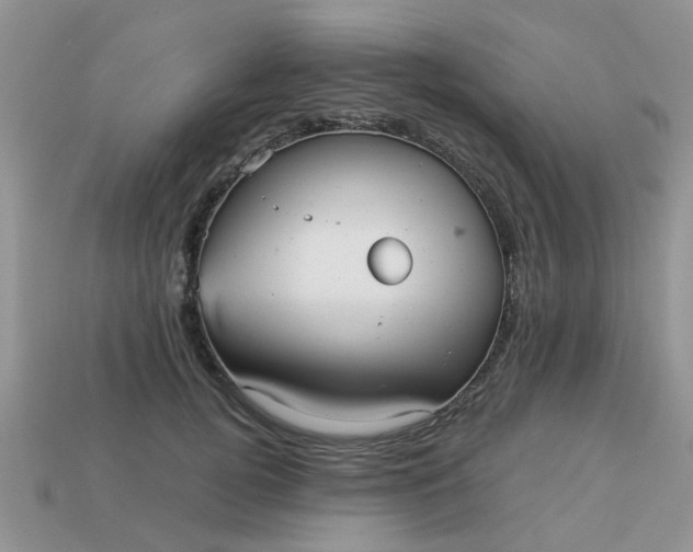 X0000113040752200909101918
