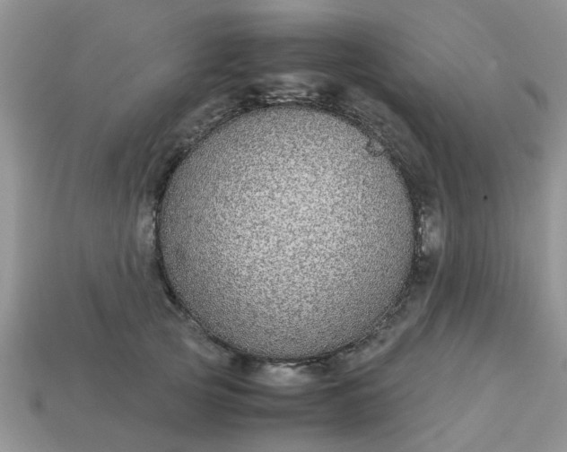 X0000113040753200909101918