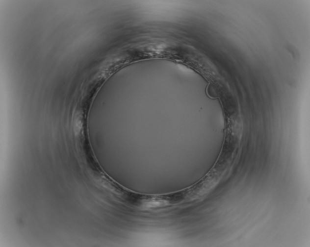 X0000113040754200909101918