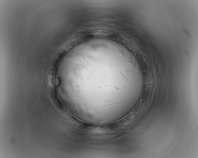 X0000113040755200909101918