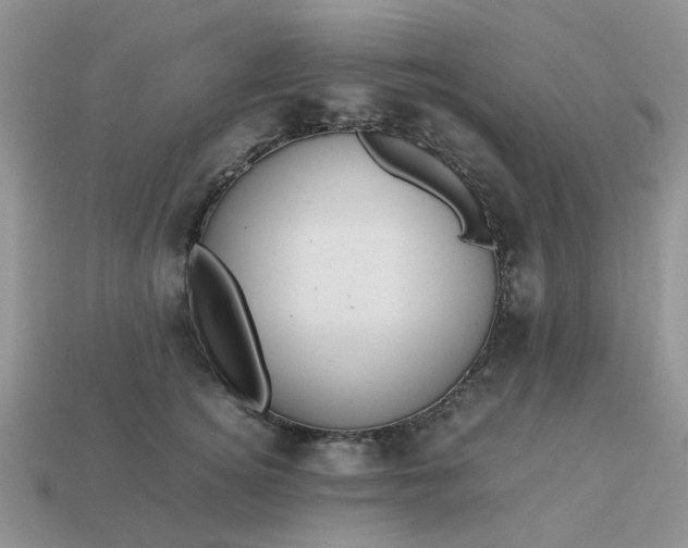 X0000113040756200909101918