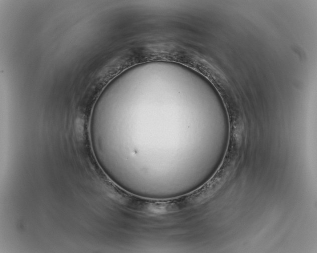 X0000113040757200909101918