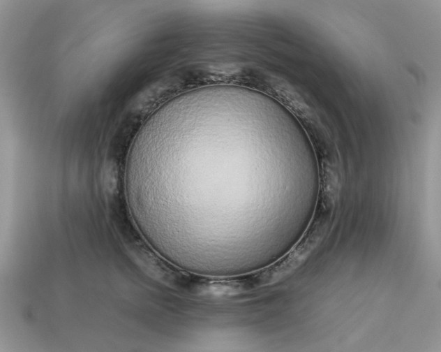 X0000113040758200909101918