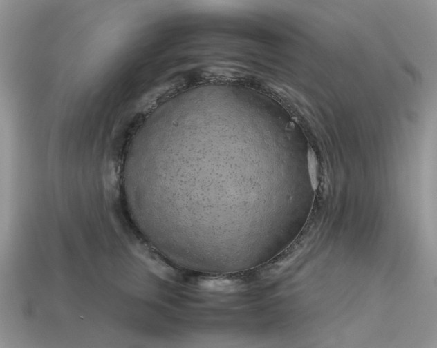 X0000113040759200909101918