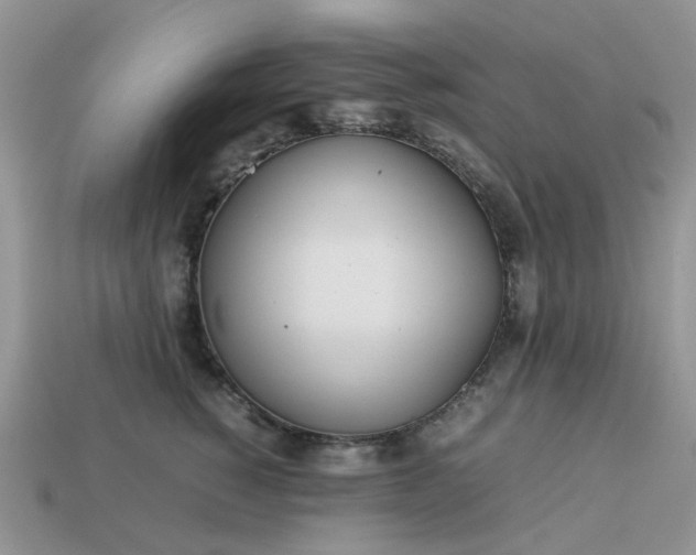 X0000113040760200909101918