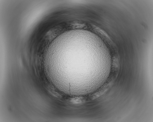 X0000113040761200909101918