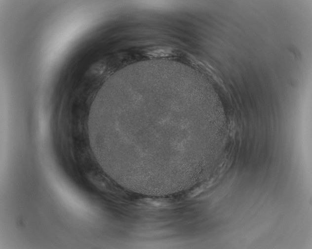 X0000113040763200909101918