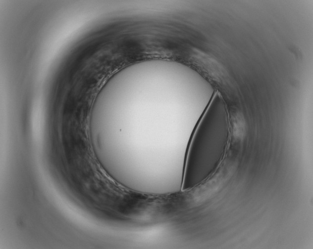 X0000113040764200909101918