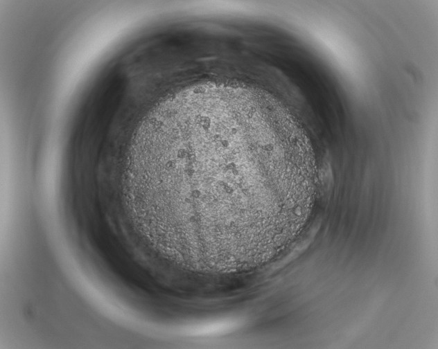 X0000113040765200909101918