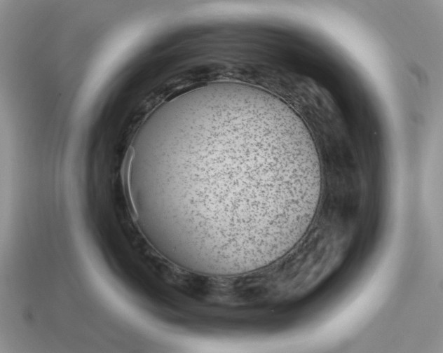 X0000113040766200909101918