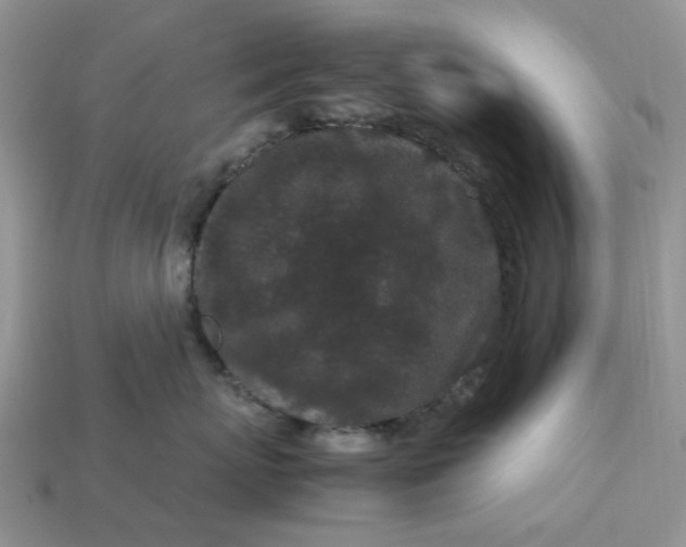 X0000113040767200909101918