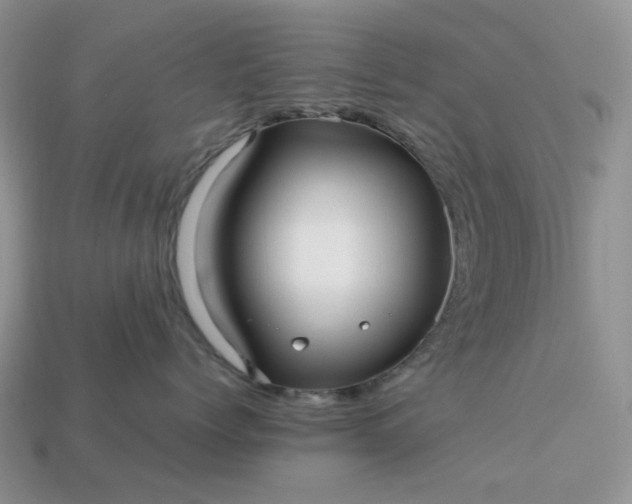 X0000113040768200909101918