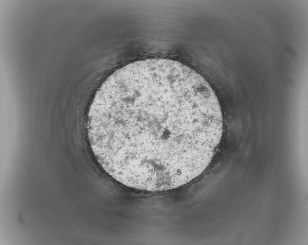 X0000113040769200909101917