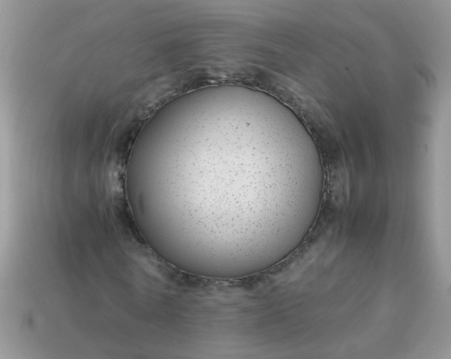 X0000113040770200909101917