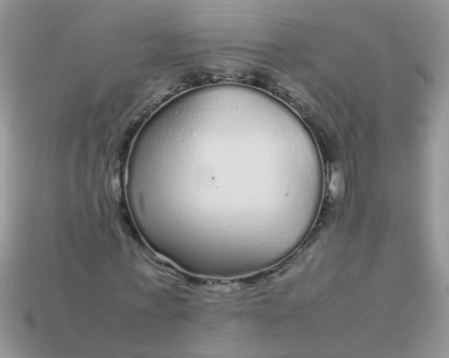 X0000113040771200909101917
