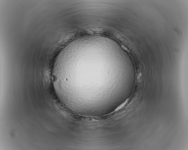 X0000113040772200909101917