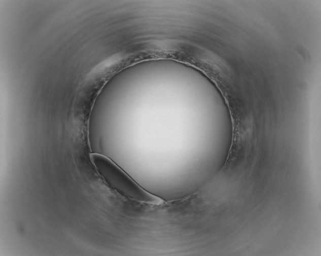 X0000113040773200909101917